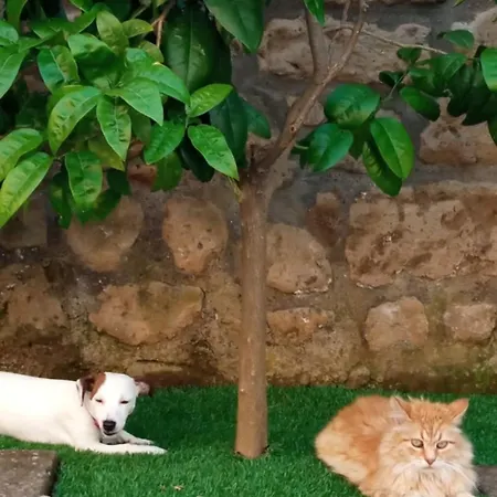 Bed & Breakfast Mario Relais 4*