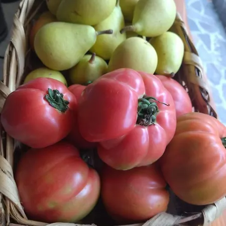 Mario Relais Bed & Breakfast