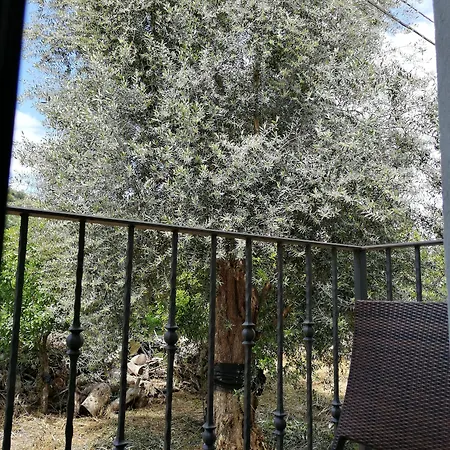 Mario Relais Bed and Breakfast Σορέντο