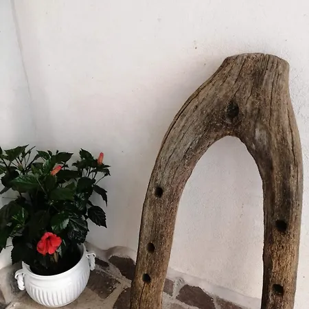 ベッド・アンド・ブレックファスト Mario Relais ソレント