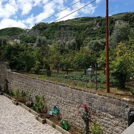 Alojamento de Acomodação e Pequeno-almoço Mario Relais Sorrento