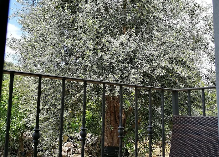 Mario Relais Bed & Breakfast Sorrento