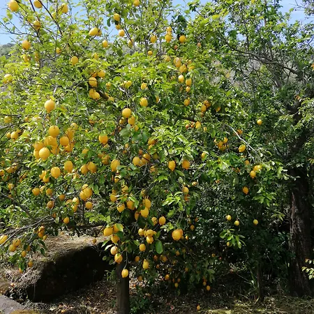 Mario Relais Panzió Sorrento